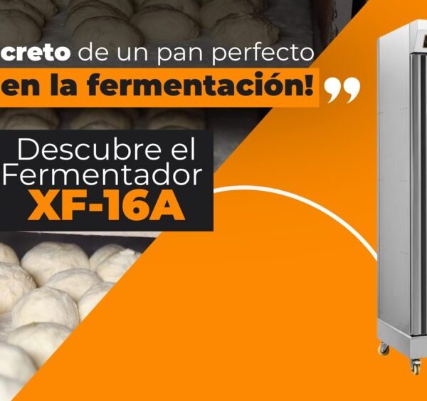 Fermentador XF-16A: cómo lograr una fermentación perfecta y mejorar la calidad de tu panadería  