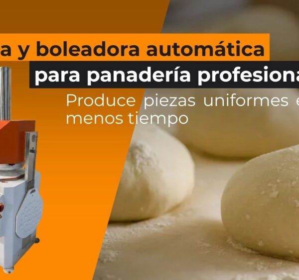 Divisora y boleadora automática: cómo producir más pan en menos tiempo sin perder calidad  